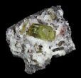 Apatite Crystal In Matrix - Durango, Mexico #33846-2